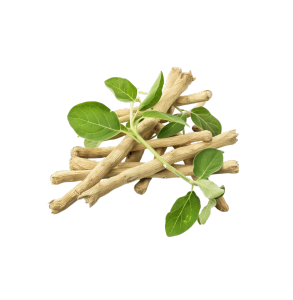 অশ্বগন্ধা