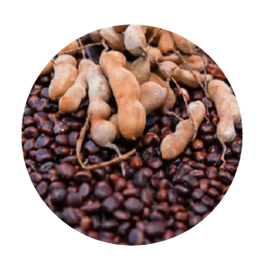 তেঁতুল বীজ